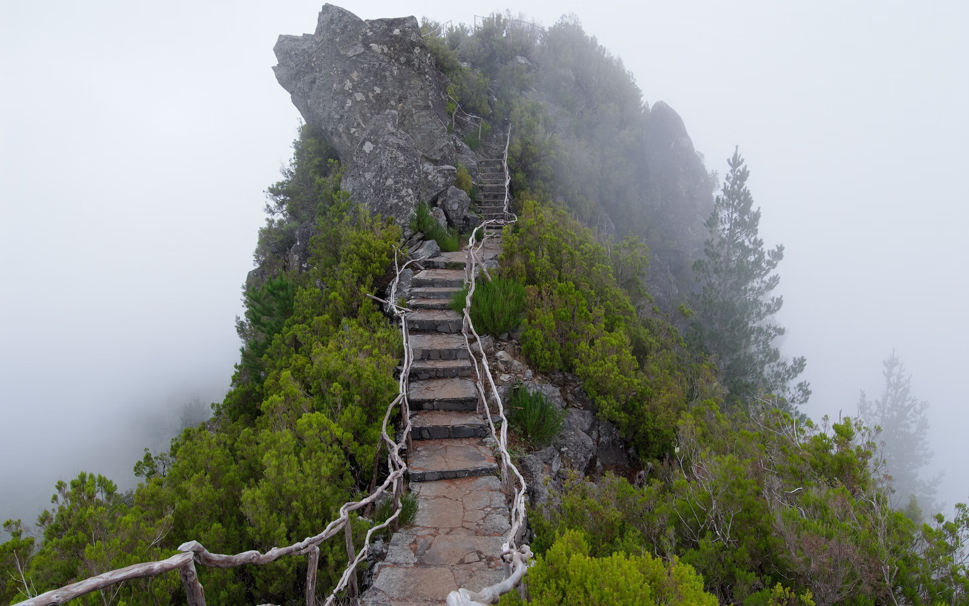 世界登山青年导师生态修复样板营评估报告出炉,世界登山协会